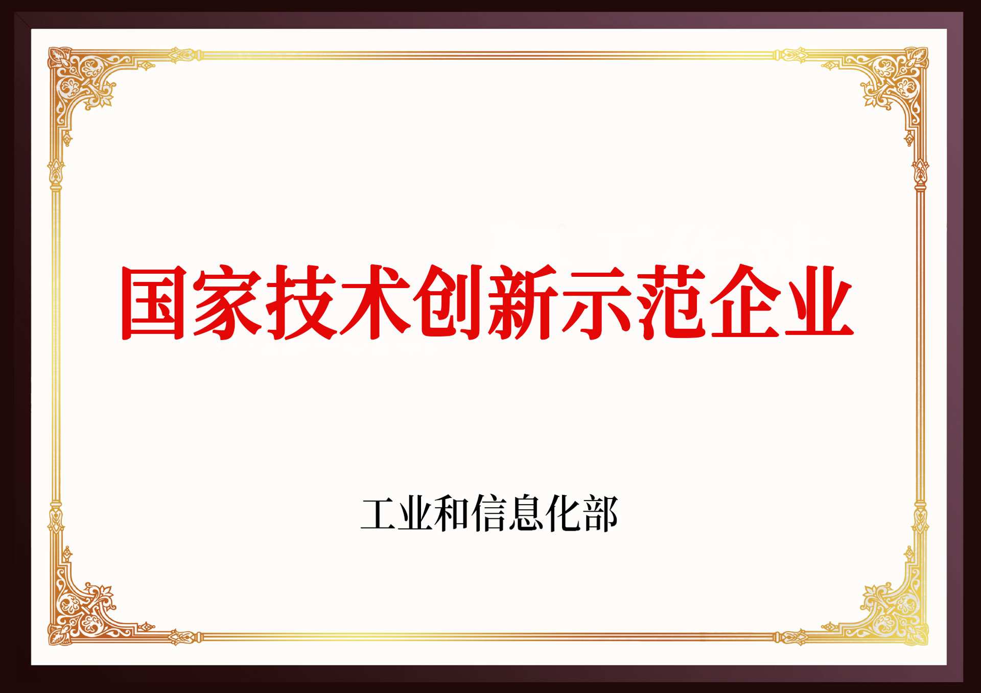 国家技术创新示范麻豆女优